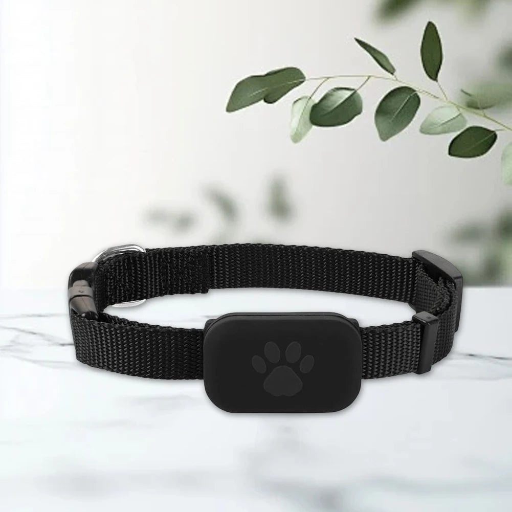 Rastreador GPS para cães e gatos à prova d'água com coleira ajustável em fundo branco
