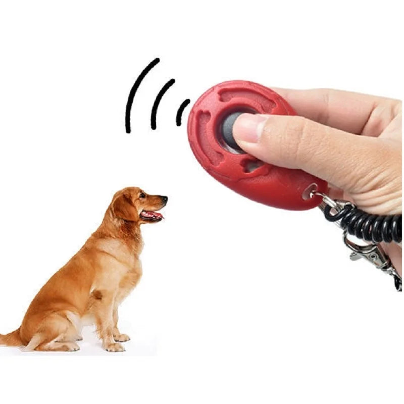 Clicker de treinamento com alça de pulso em fundo branco