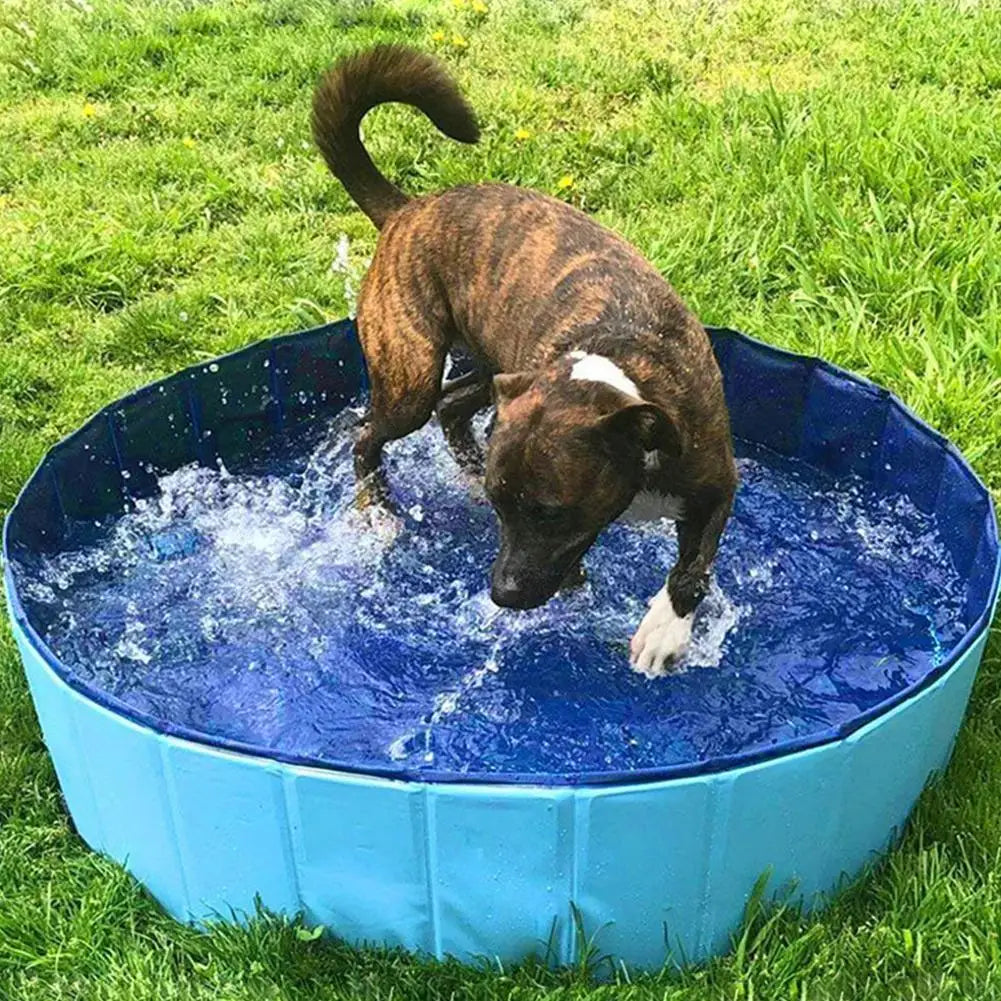 Piscina dobrável para pets banho e diversão antiderrapante em fundo branco
