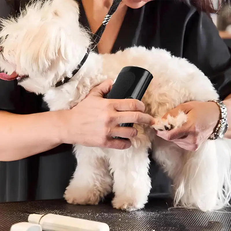 Escova profissional desembaraçadora para cães e gatos em fundo branco