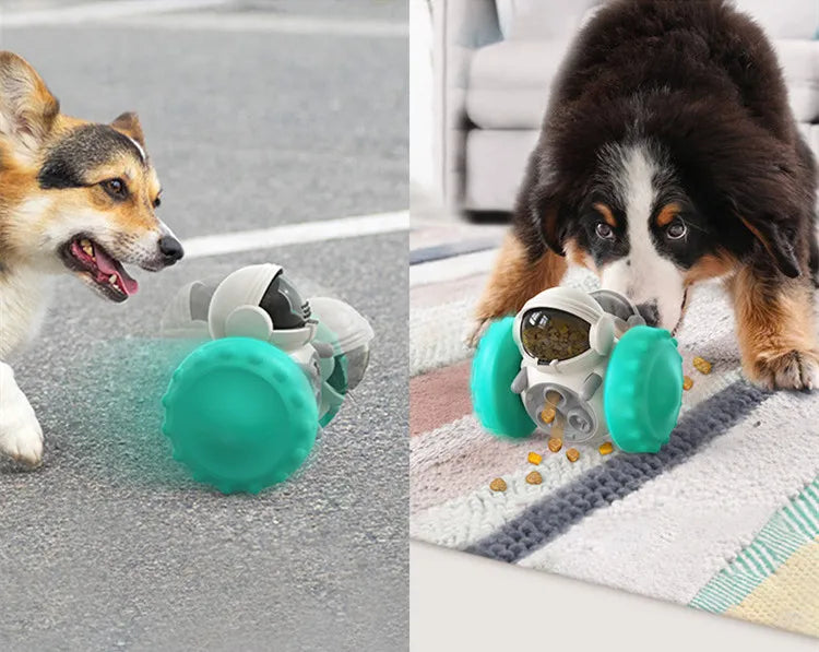 Dispenser de petiscos interativo puzzle para cão em fundo branco