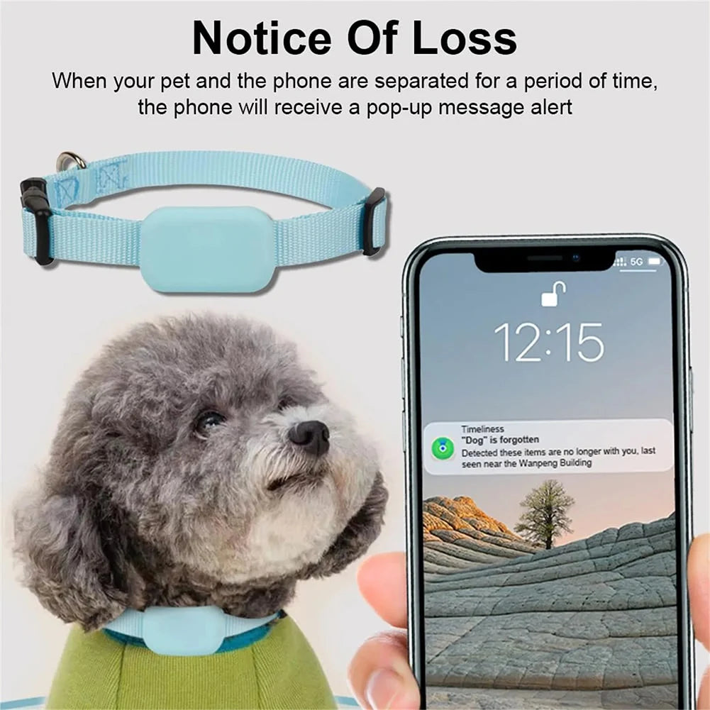 Rastreador GPS para cães e gatos à prova d'água com coleira ajustável em fundo branco
