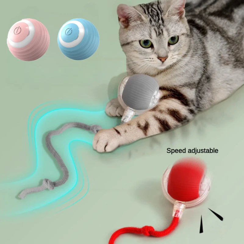 Bola LED inteligente com sensor de movimento brinquedo para gato em fundo branco