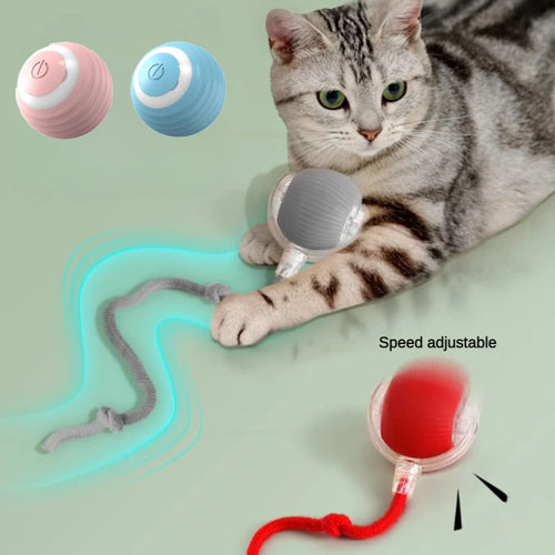 Bola LED inteligente com sensor de movimento brinquedo para gato em fundo branco