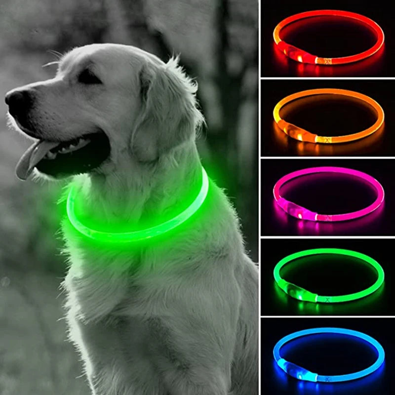 Coleira LED USB recarregável para cães em fundo branco