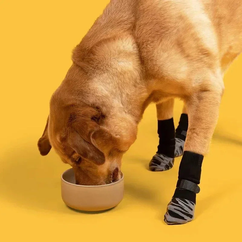 Meias antiderrapantes para cães kit 4 unidades em fundo branco