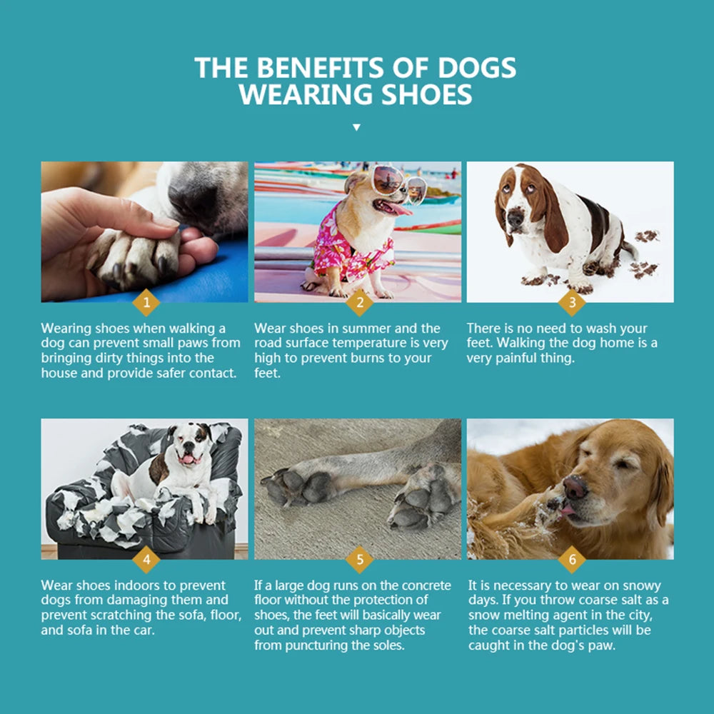 Botinhas antiderrapantes impermeáveis para cães em fundo branco
