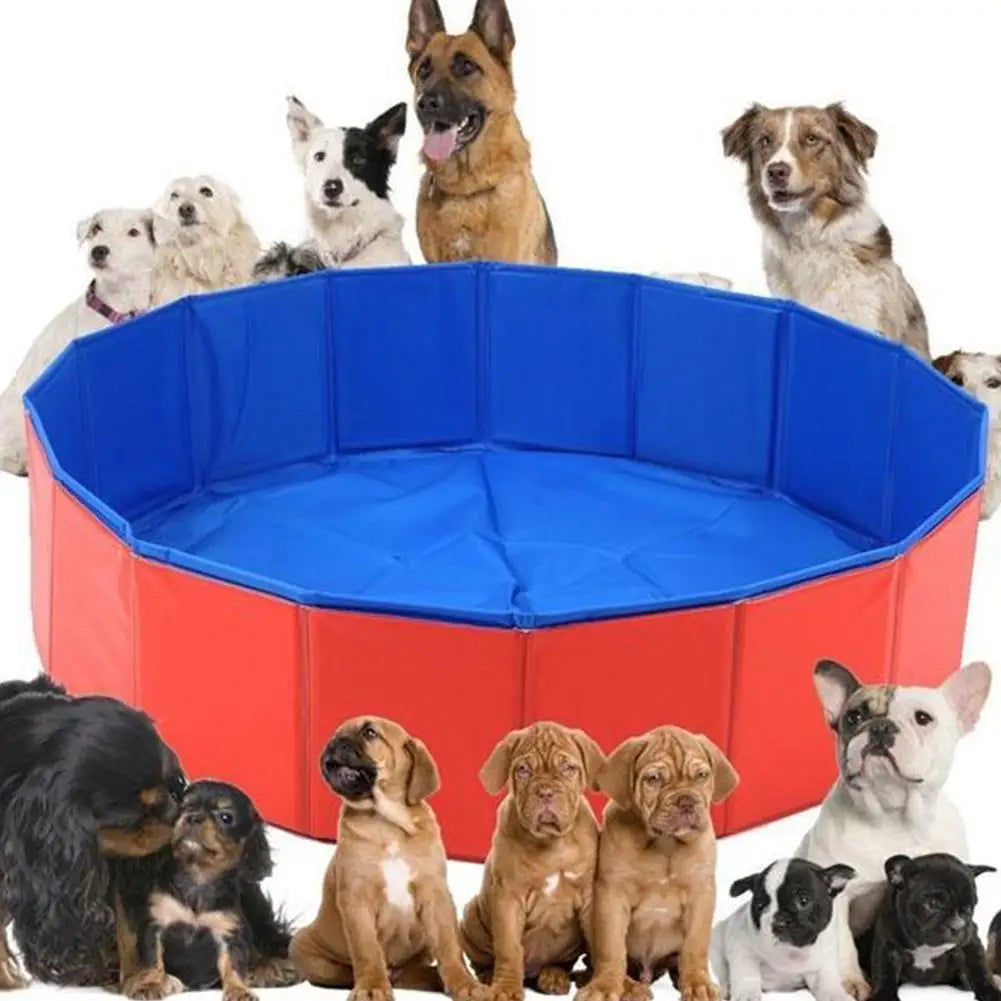 Piscina dobrável para pets banho e diversão antiderrapante em fundo branco