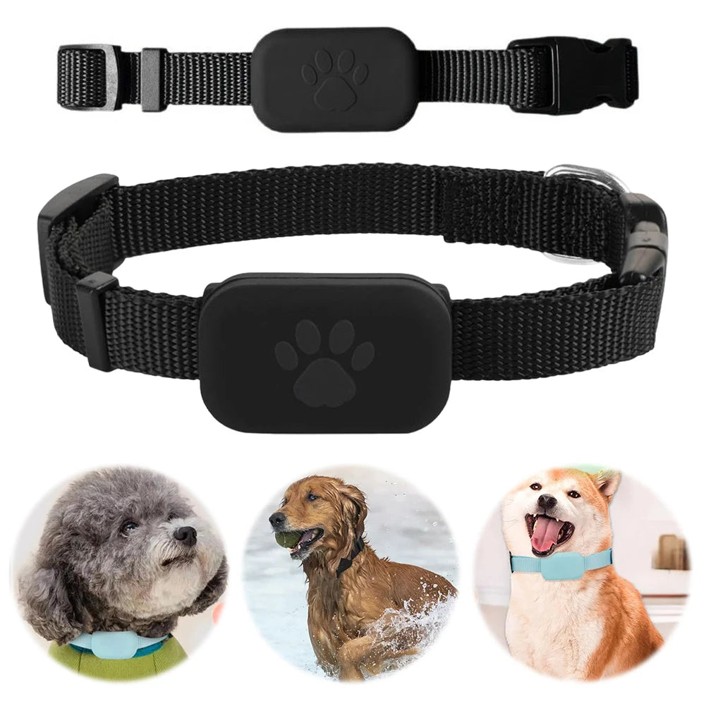 Rastreador GPS para cães e gatos à prova d'água com coleira ajustável em fundo branco