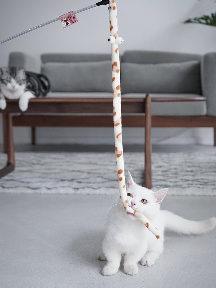 Varinha interativa com penas e sino para gatos em fundo branco