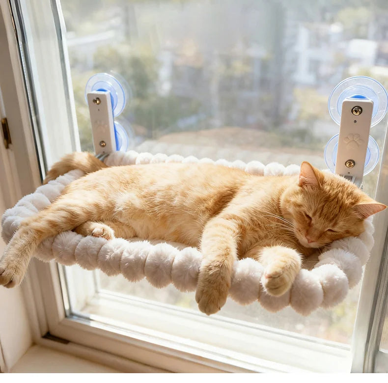 Rede de janela com suporte ventosa para gato em fundo branco