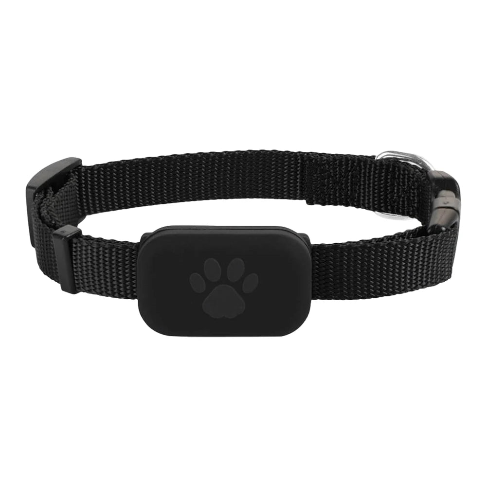 Rastreador GPS para cães e gatos à prova d'água com coleira ajustável em fundo branco
