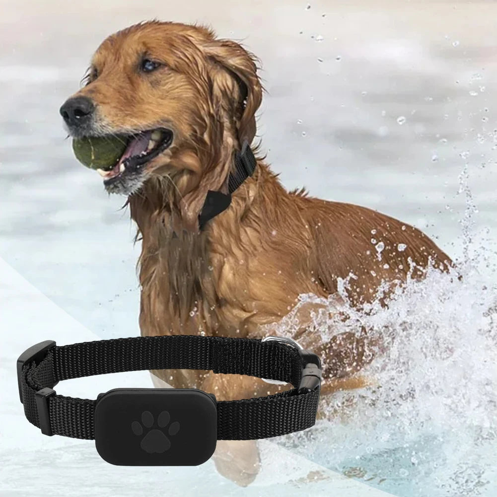Rastreador GPS para cães e gatos à prova d'água com coleira ajustável em fundo branco