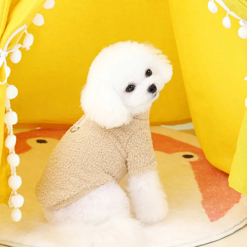 Roupinha suéter de inverno para cães em tricô macio com gola alta em fundo branco