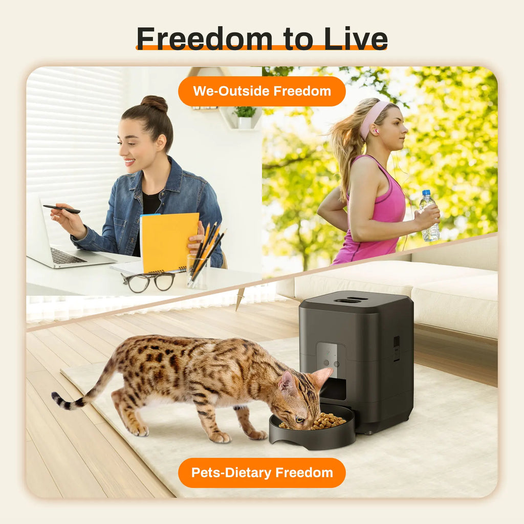 Comedouro automático para pets com timer programável e dispenser inteligente em fundo branco