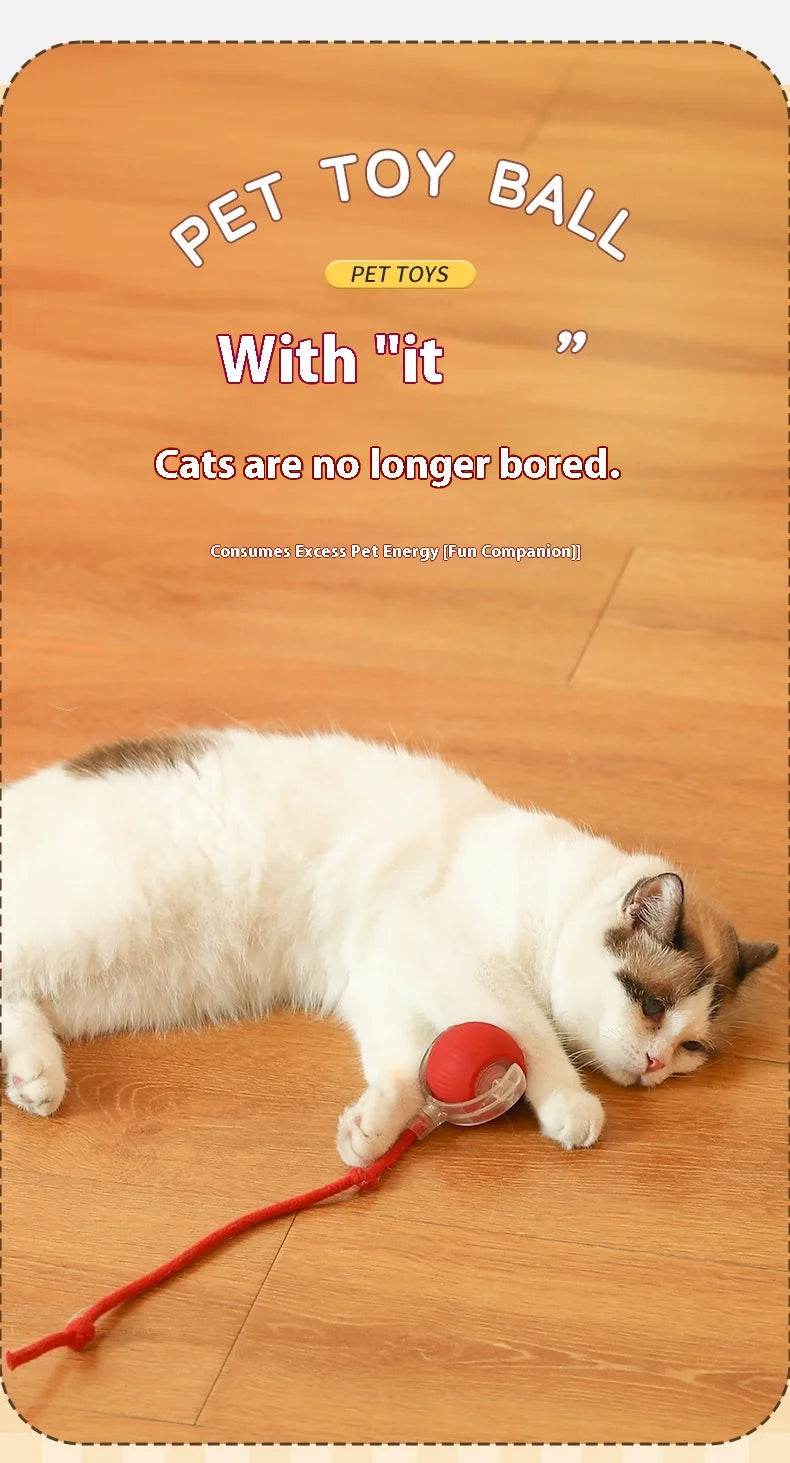 Bola LED inteligente com sensor de movimento brinquedo para gato em fundo branco