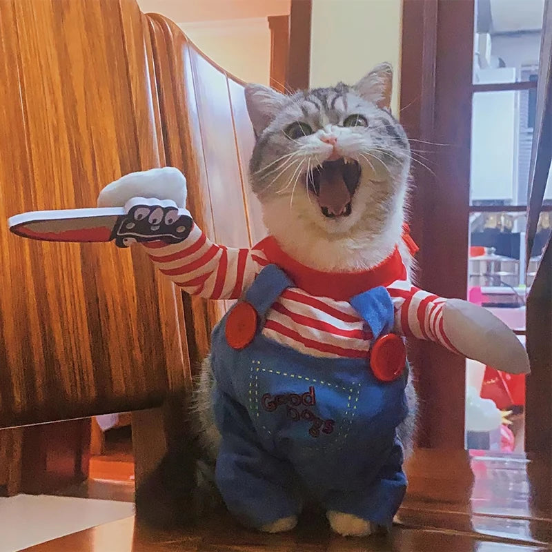 Fantasia para pets halloween cosplay divertida para cães e gatos em fundo branco