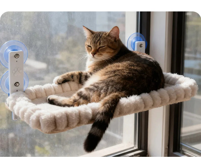 Rede de janela com suporte ventosa para gato em fundo branco