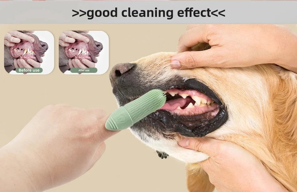 Escova dental dedeira 360 graus de silicone para cães e gatos em fundo branco