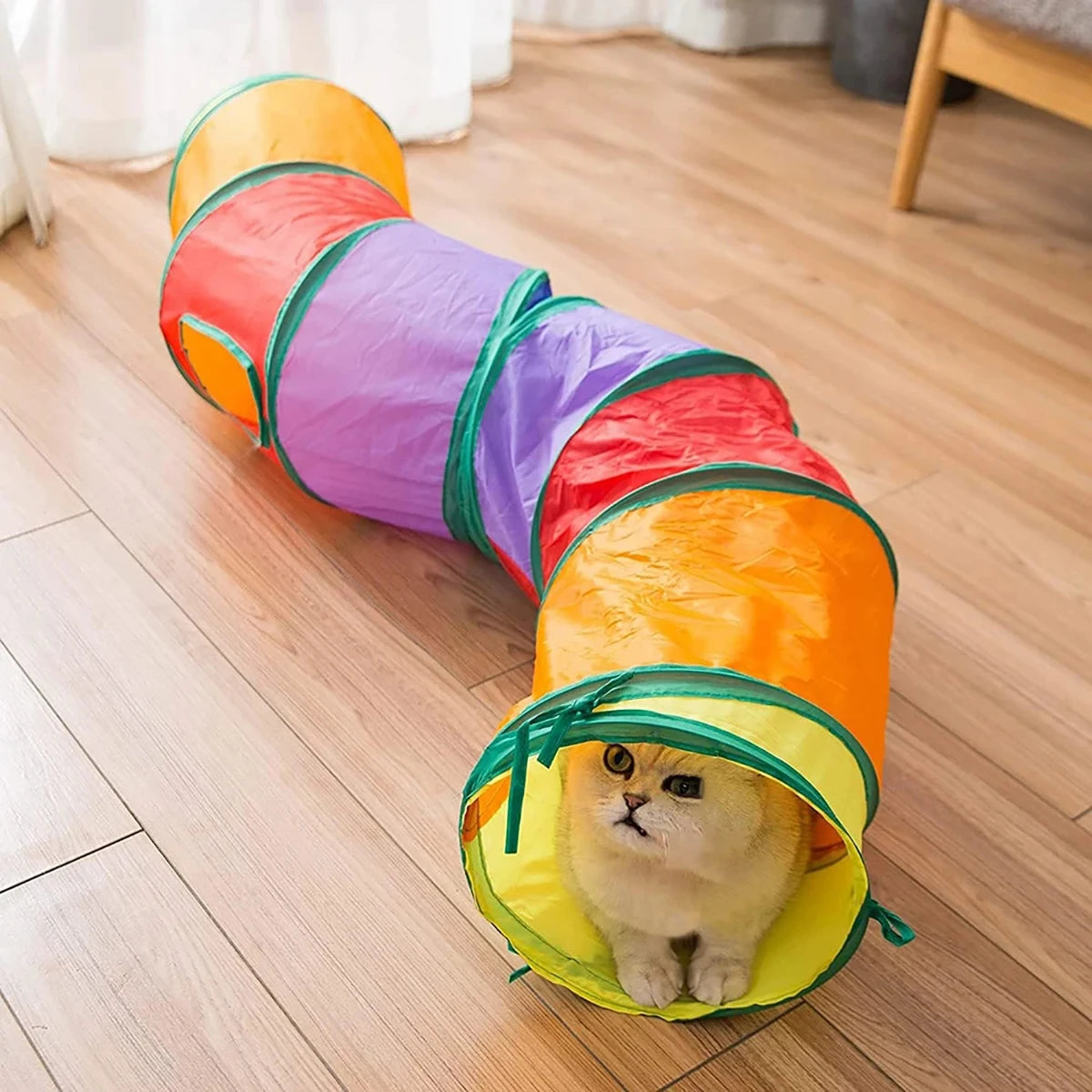 Túnel dobrável para gatos brinquedo interativo em fundo branco