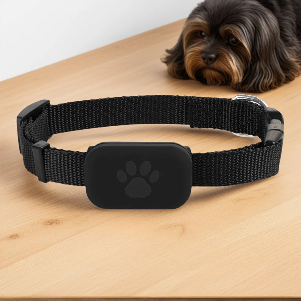 Rastreador GPS para cães e gatos à prova d'água com coleira ajustável em fundo branco