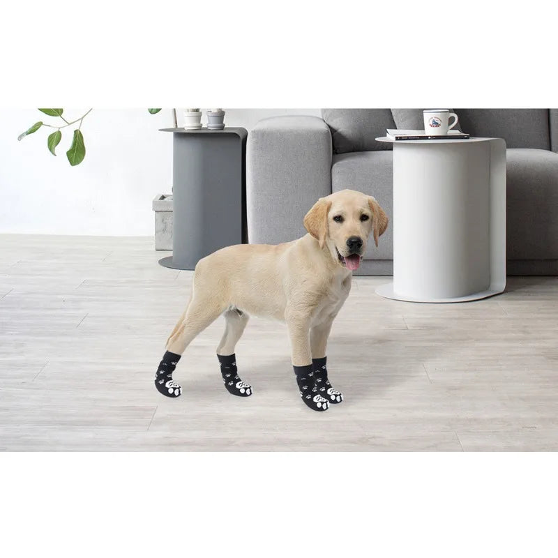 Meias antiderrapantes para cães kit 4 unidades em fundo branco