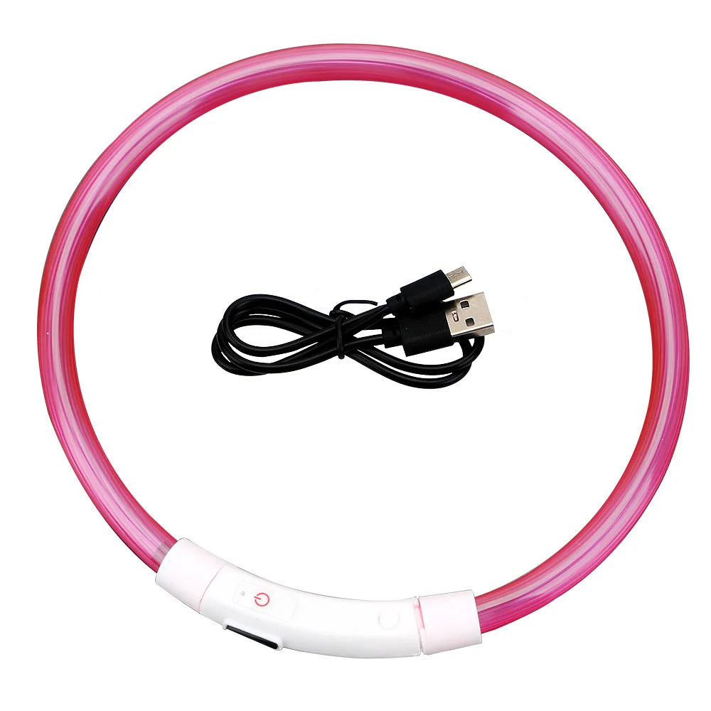 Coleira LED USB recarregável para cães em fundo branco
