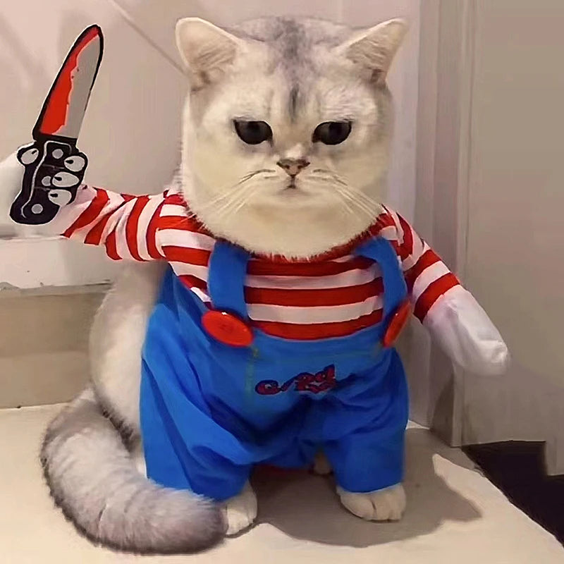 Fantasia para pets halloween cosplay divertida para cães e gatos em fundo branco