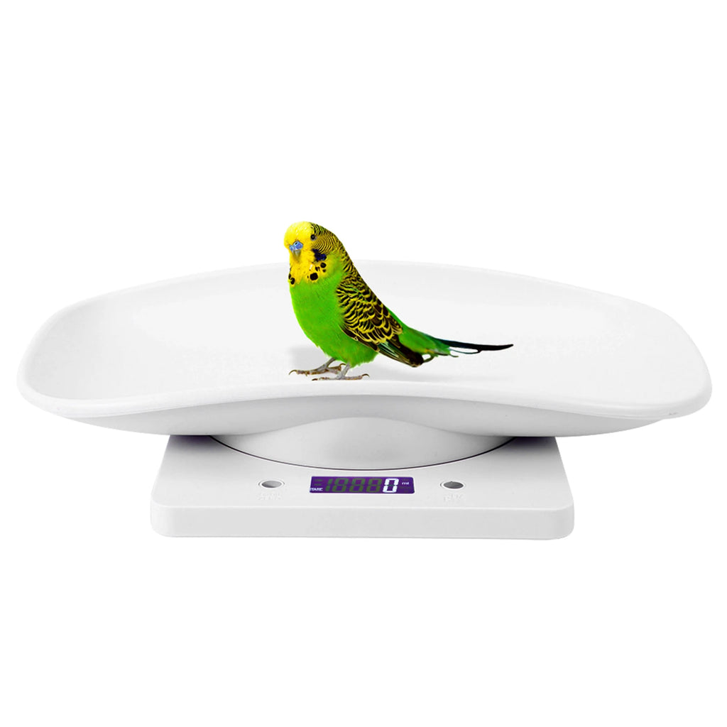Balança digital para pet pequeno 10kg precisão 1g em fundo branco