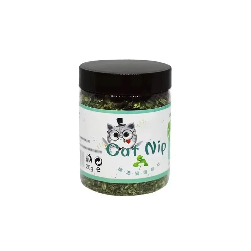 Catnip natural erva do gato planta fresca orgânica em fundo branco