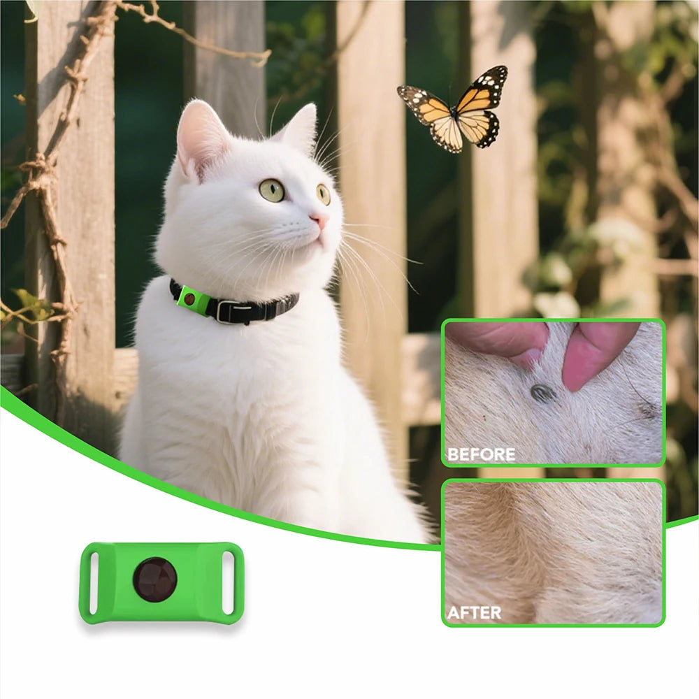 Coleira antipulgas natural com óleos essenciais pingente para pet em fundo branco