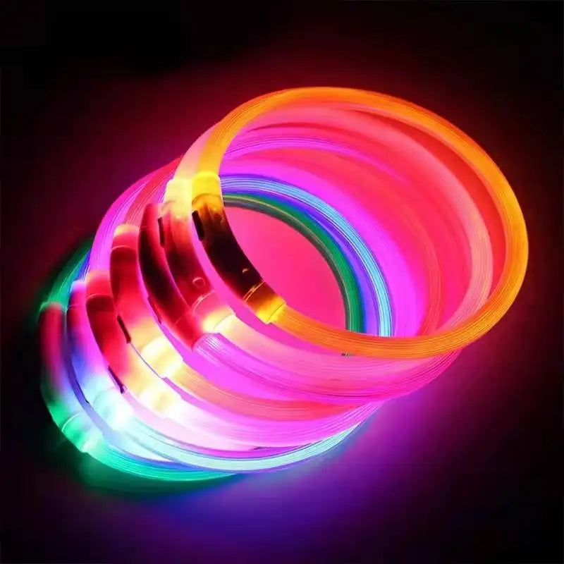 Coleira LED USB recarregável para cães em fundo branco