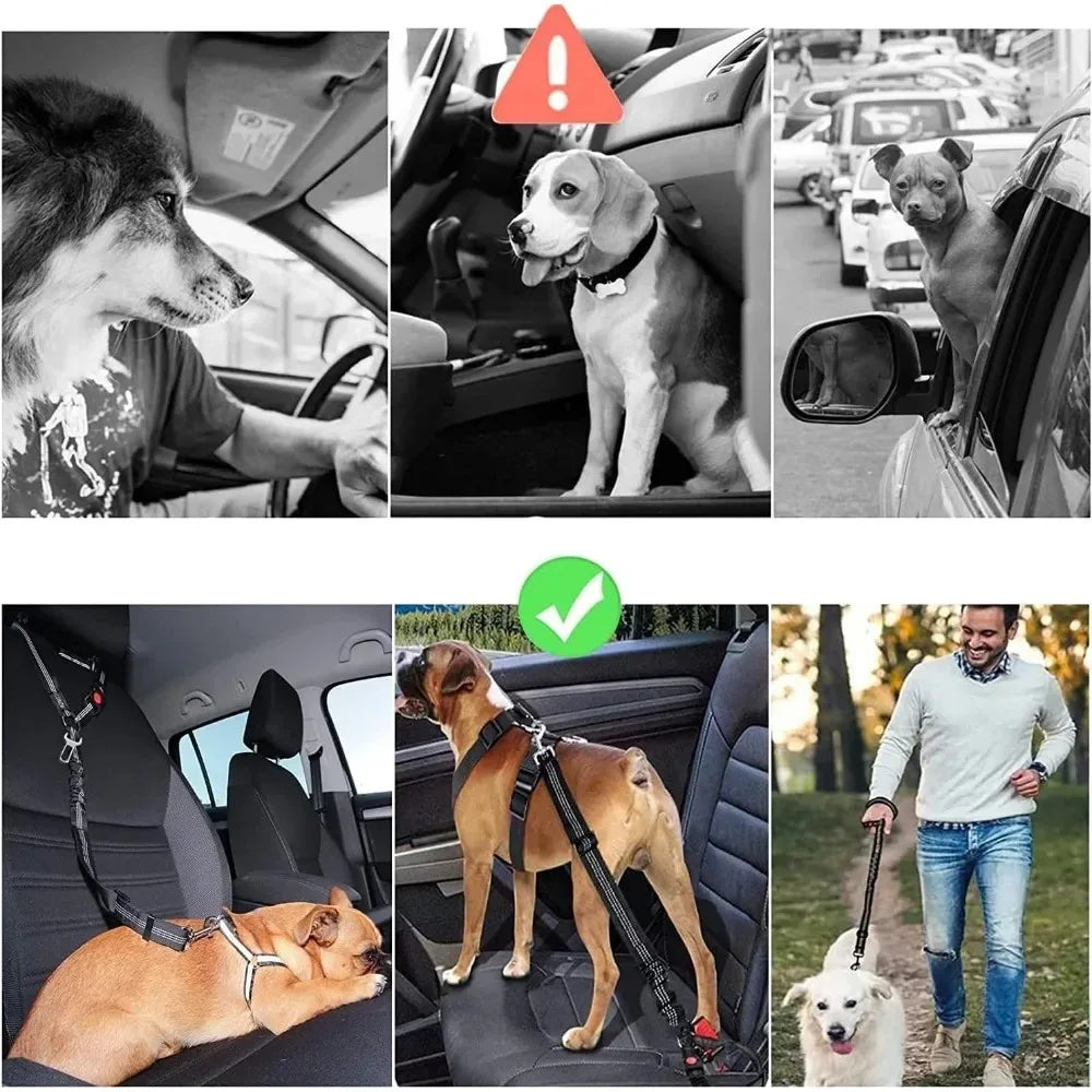 Cinto de segurança pet 2 em 1 ajustável refletivo para carro em fundo branco