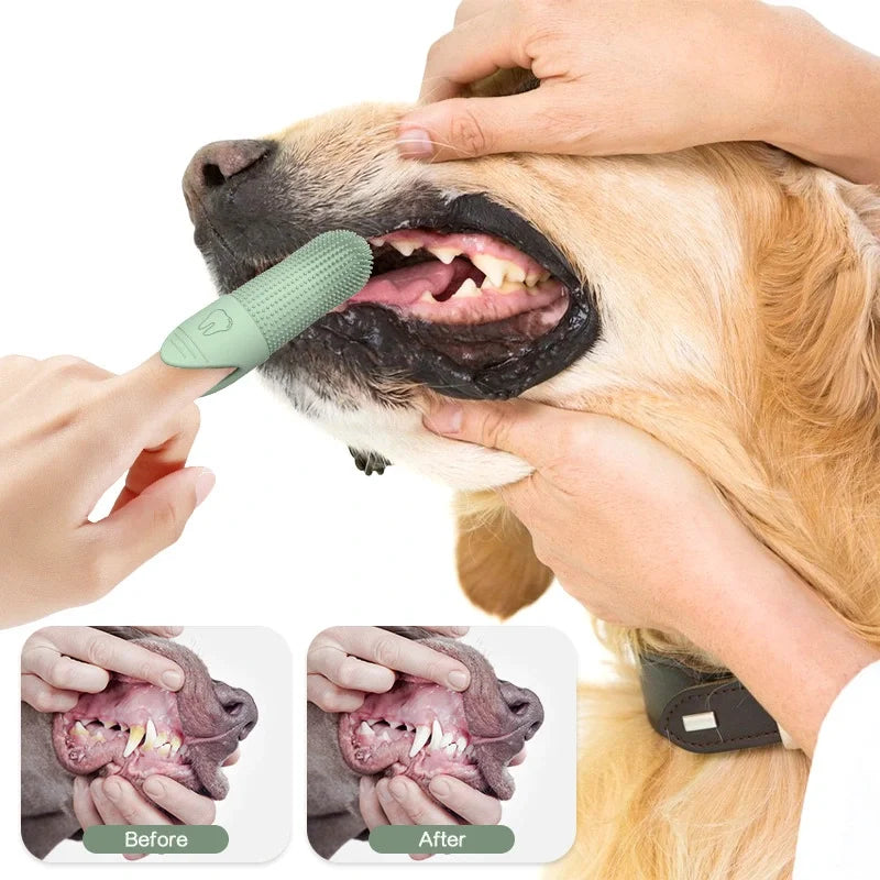Escova dental dedeira 360 graus de silicone para cães e gatos em fundo branco