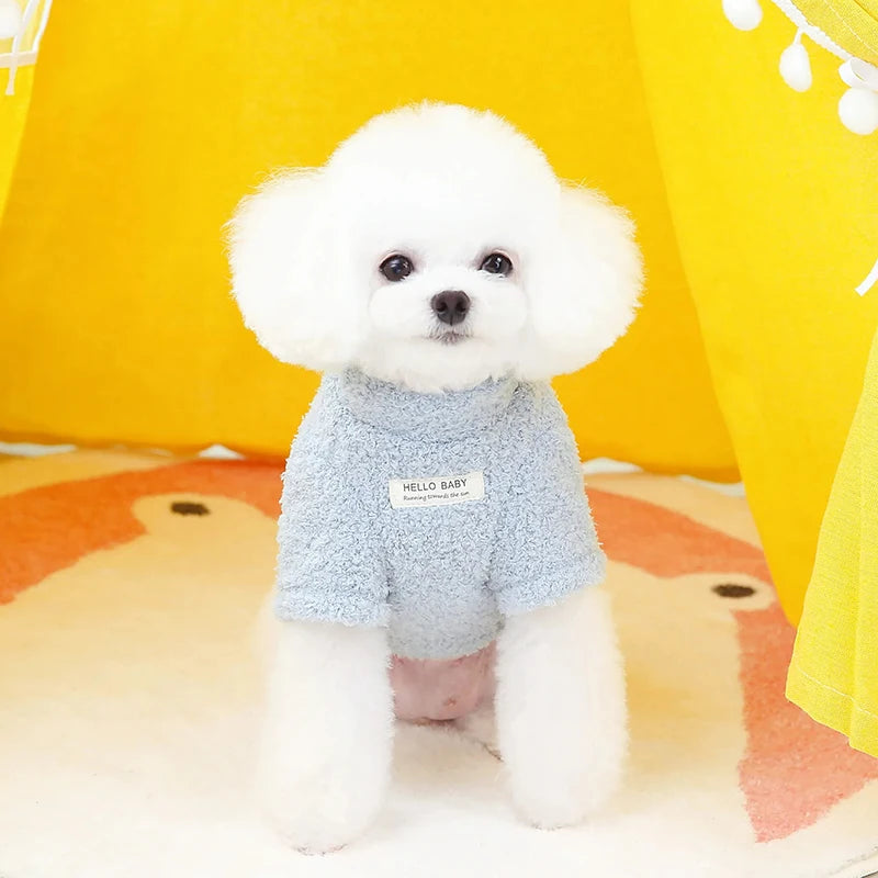 Roupinha suéter de inverno para cães em tricô macio com gola alta em fundo branco