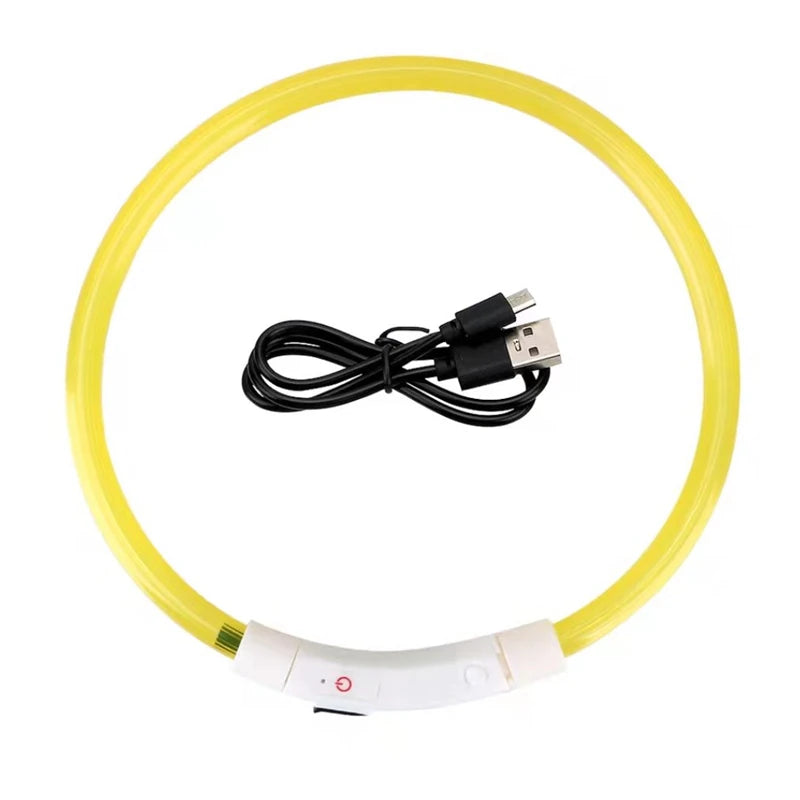 Coleira LED USB recarregável para cães em fundo branco